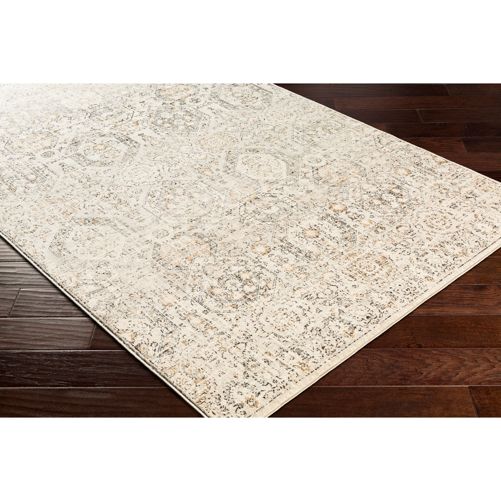 Surya IGO2306-679 6.4x9 Rug