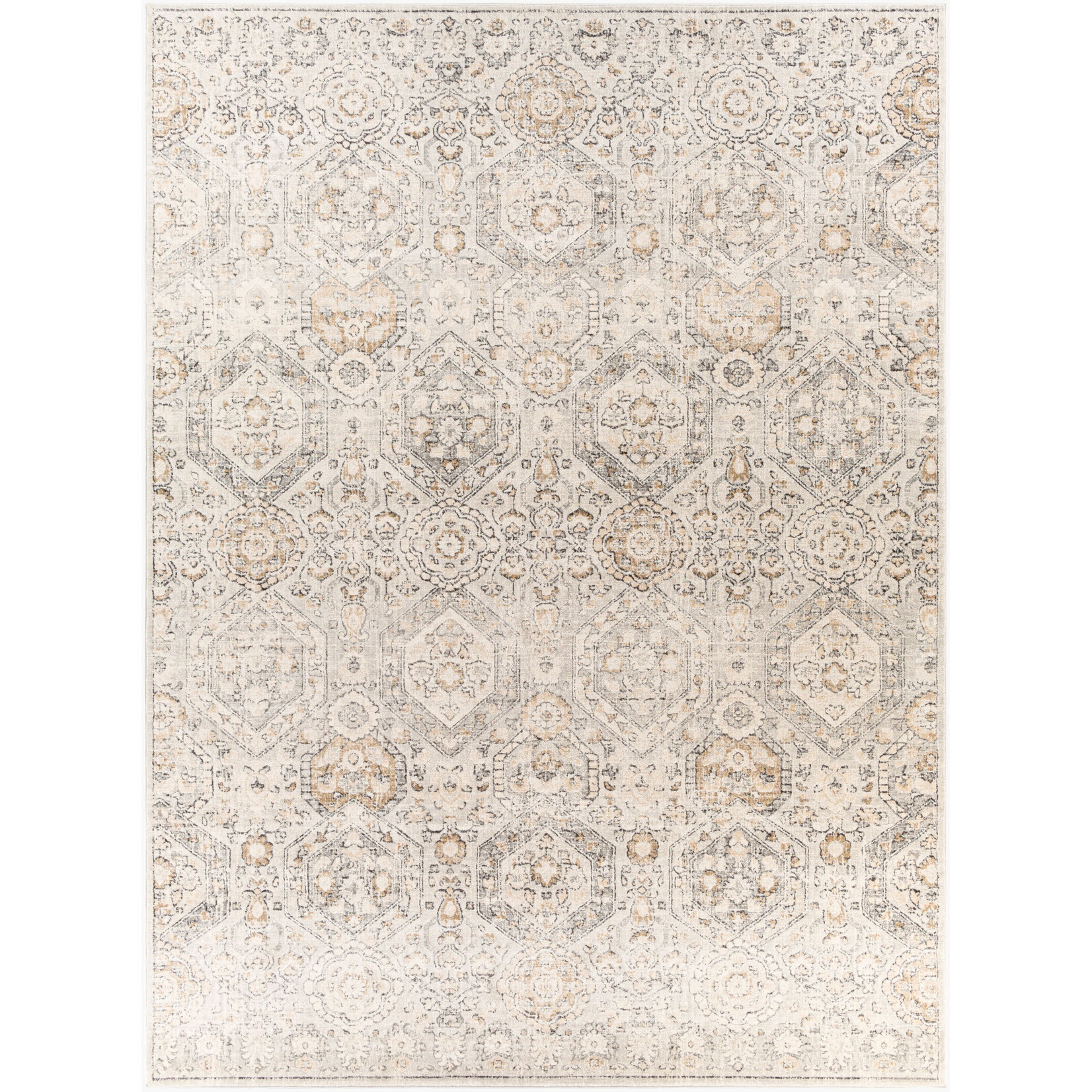 Surya IGO2306-679 6.4x9 Rug
