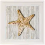 Stylecraft Seashells I WM13236