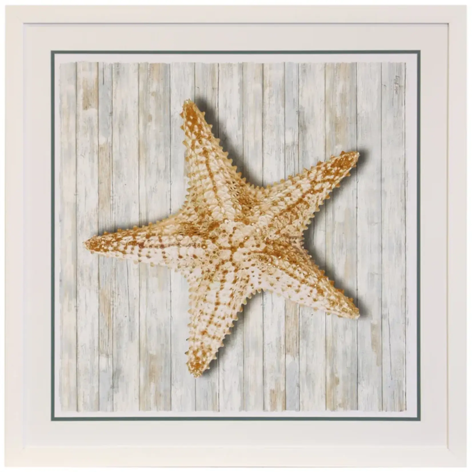 Stylecraft Seashells I WM13236