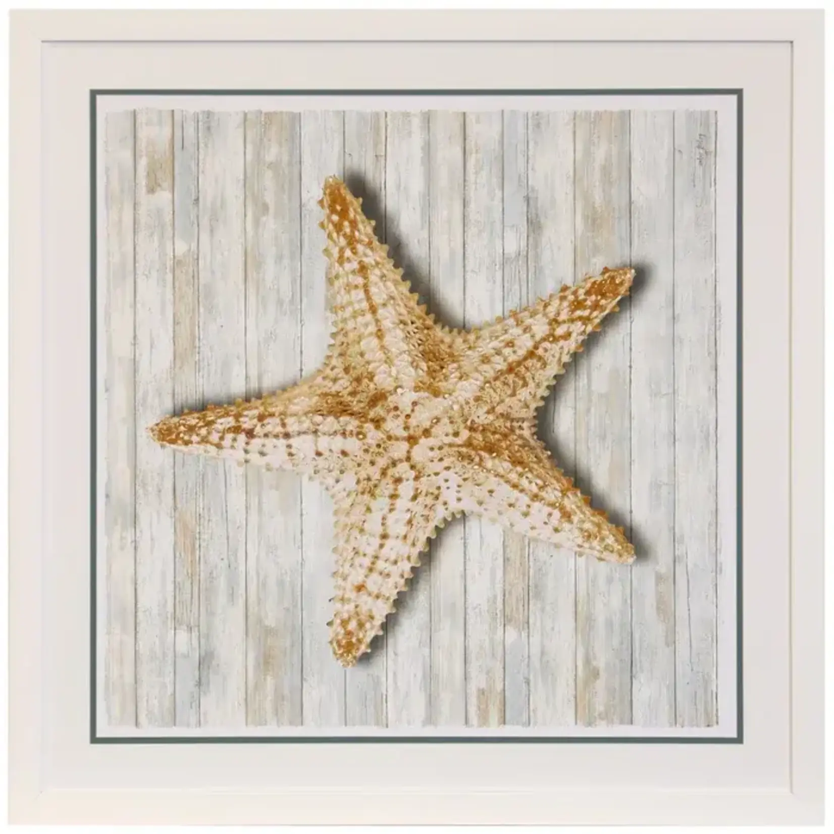 Stylecraft Seashells I WM13236