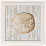 Stylecraft Seashells III WM13237