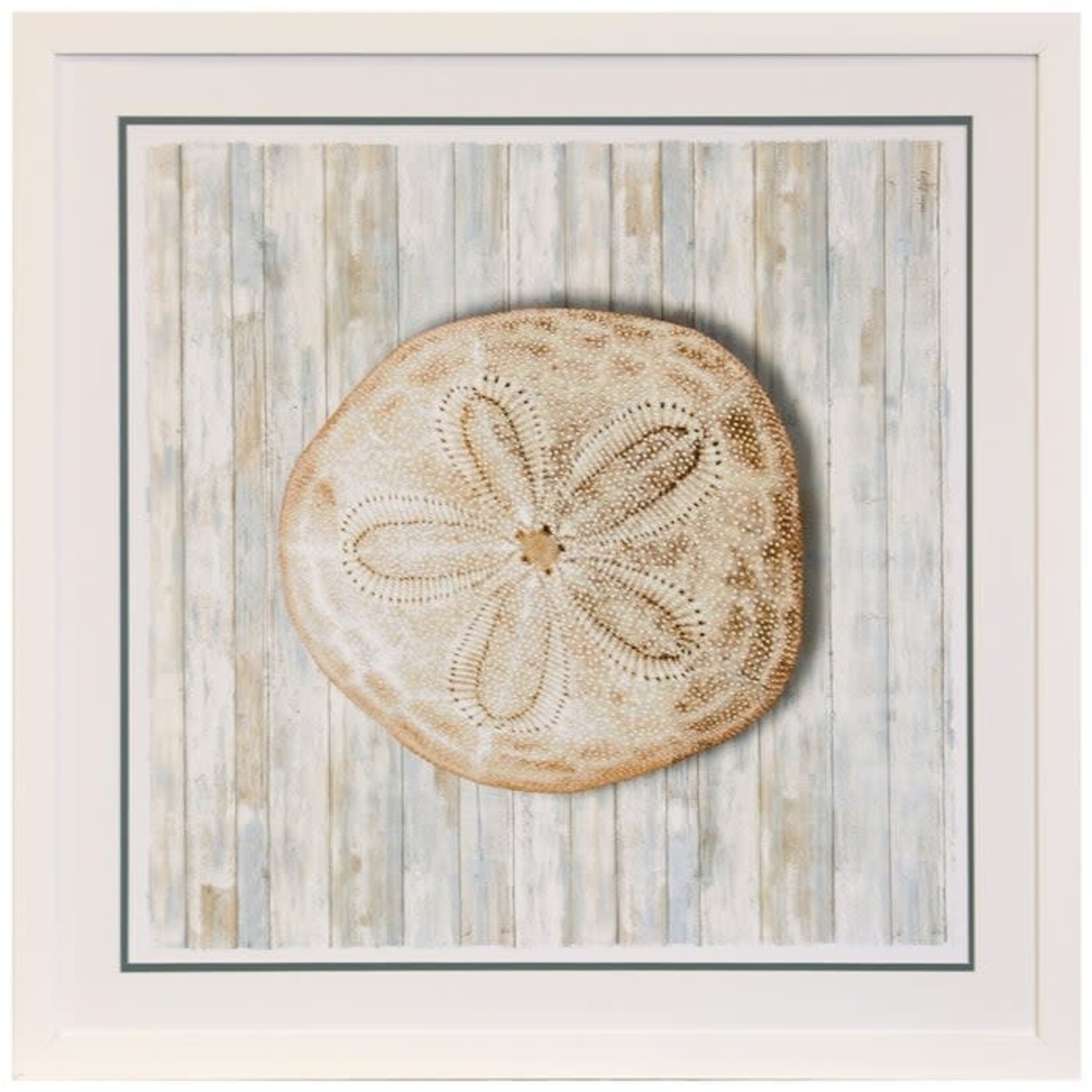 Stylecraft Seashells III