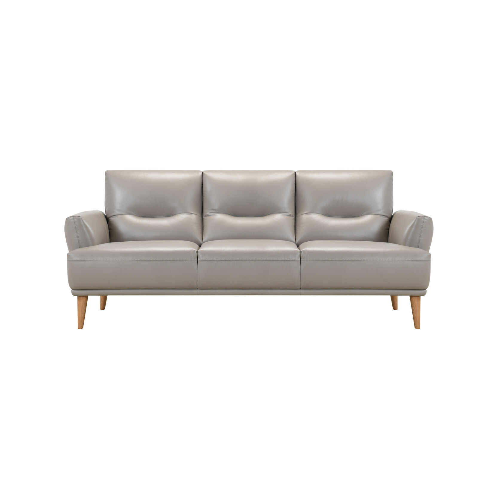 Leather Violino Sofa