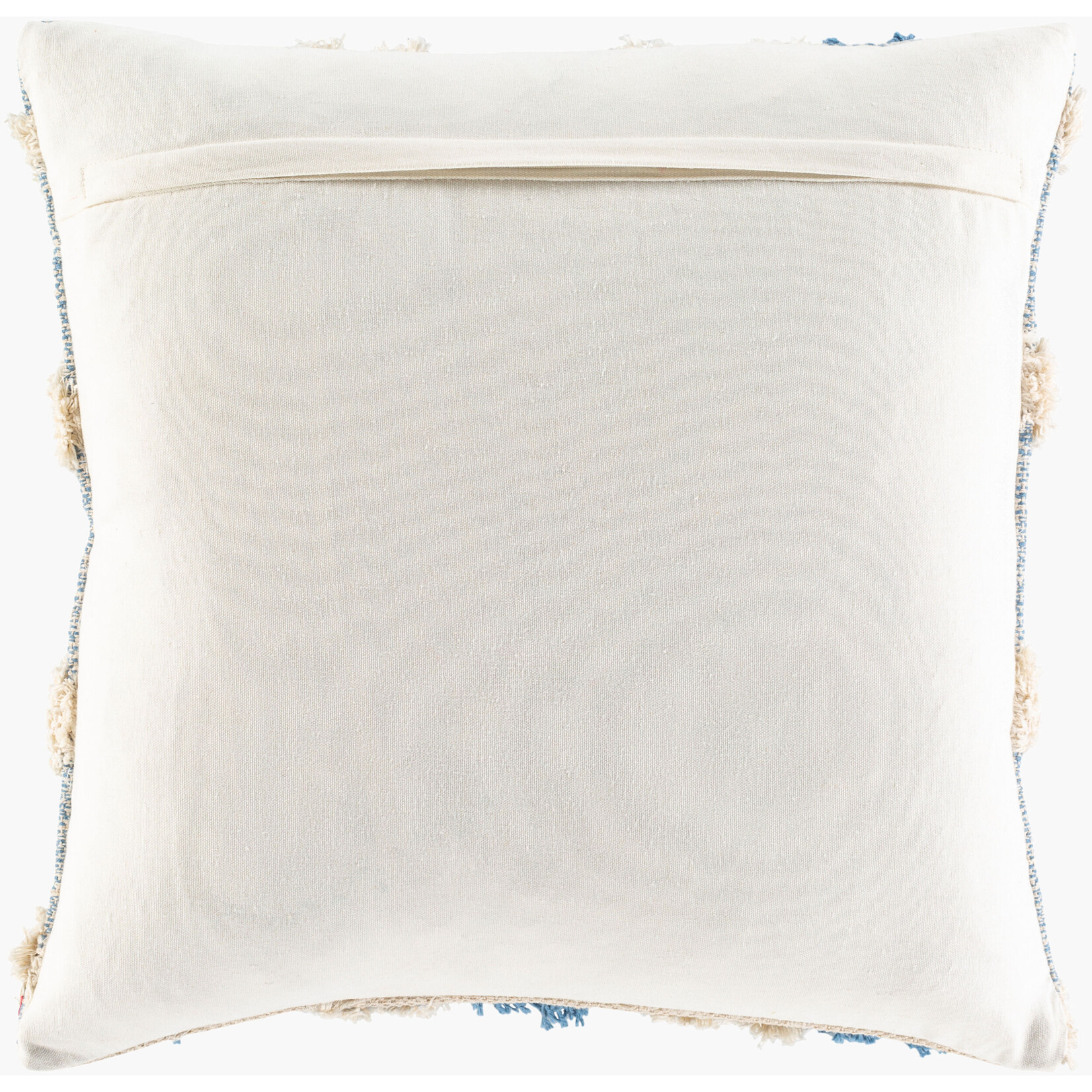 Surya EDR002-2020P 20x20 Accent Pillow