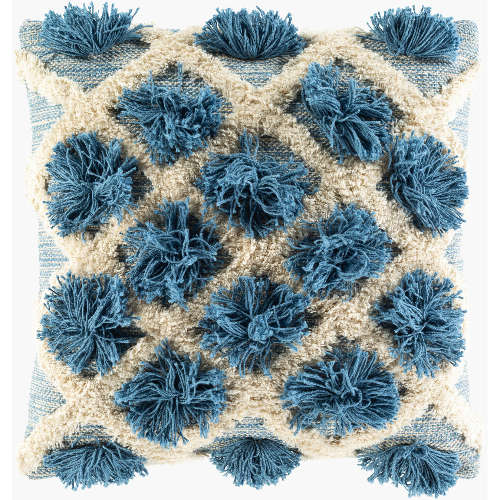 Surya EDR002-2020P 20x20 Accent Pillow