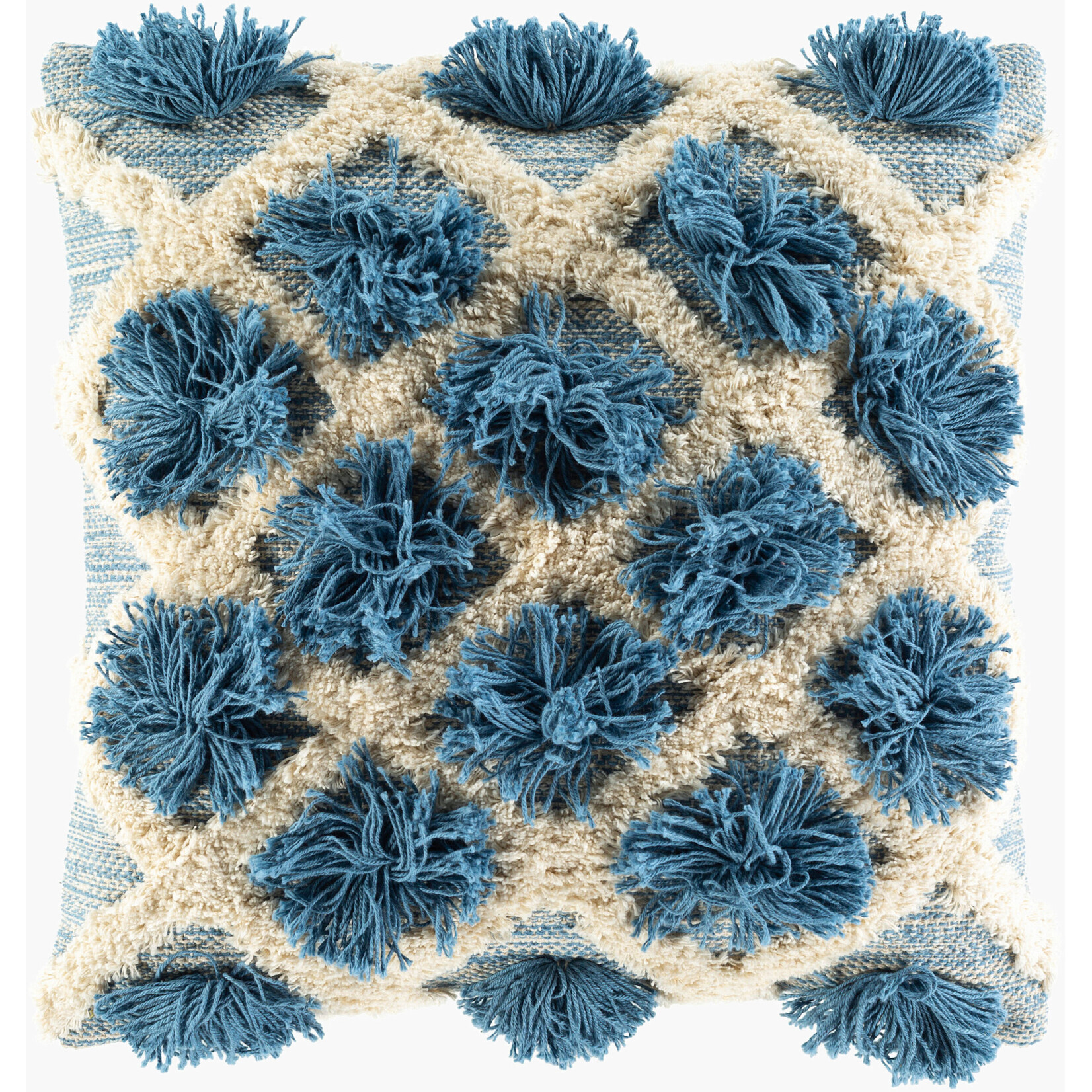 Surya EDR002-2020P 20x20 Accent Pillow