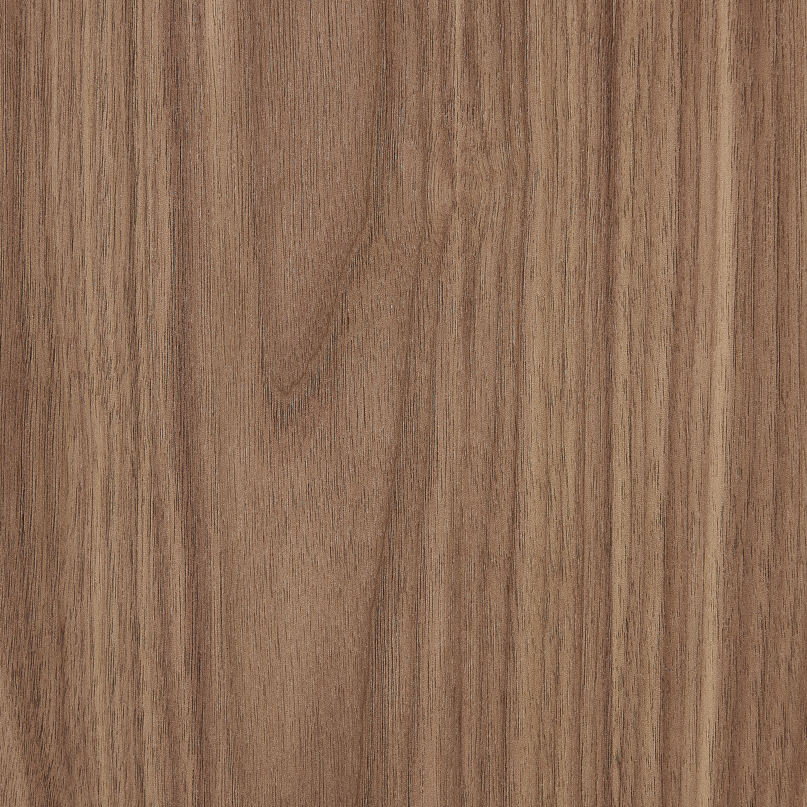 EuroStyle Boden 47" Rectangle Coffee Table