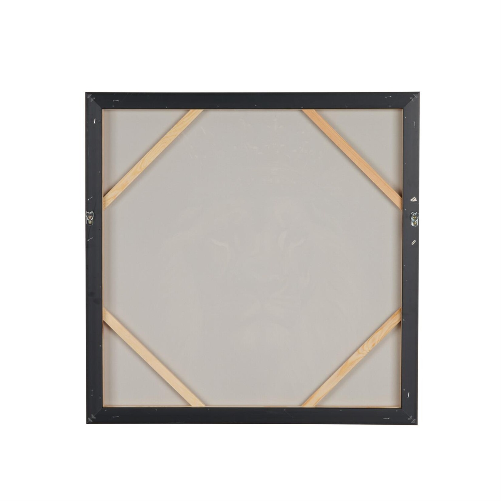 Deco Marche Black Canvas Lion Framed Wall Art