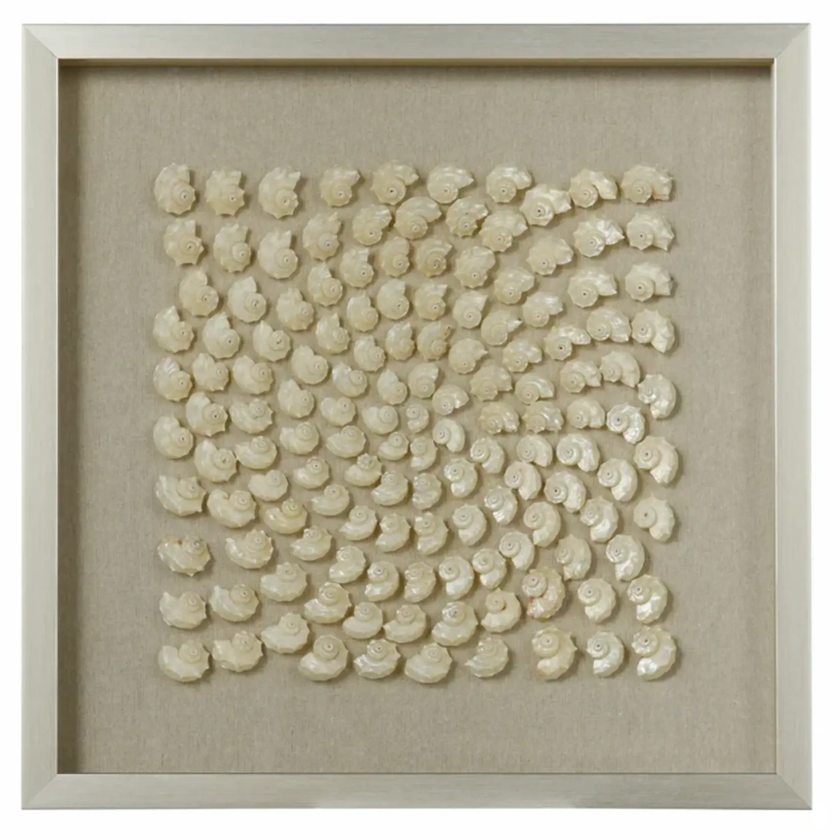 Stylecraft Shell Coral Shadow Box