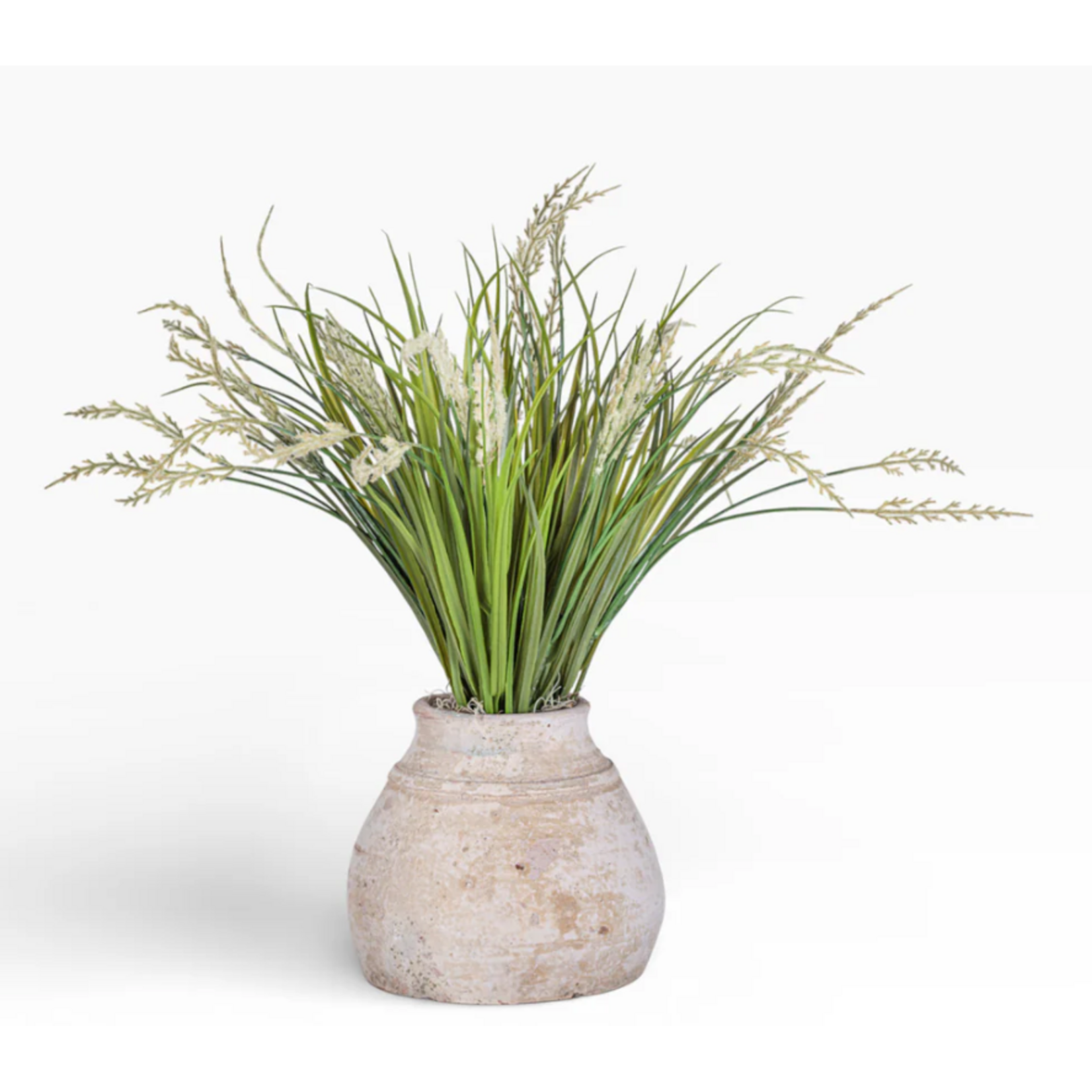 Aster Pot with Grass Arrangement AR1464