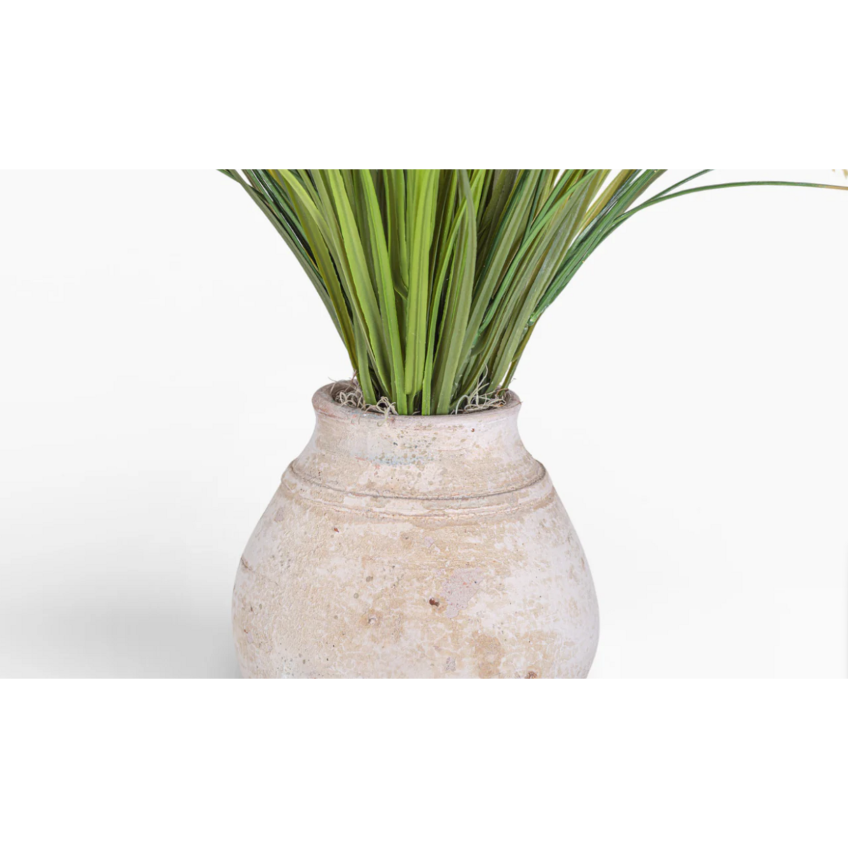 Aster Pot with Grass Arrangement AR1464