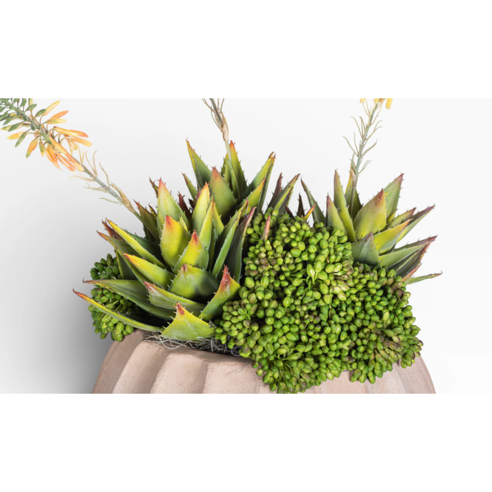 San Miguel Terrarium White Pebbles AR1485