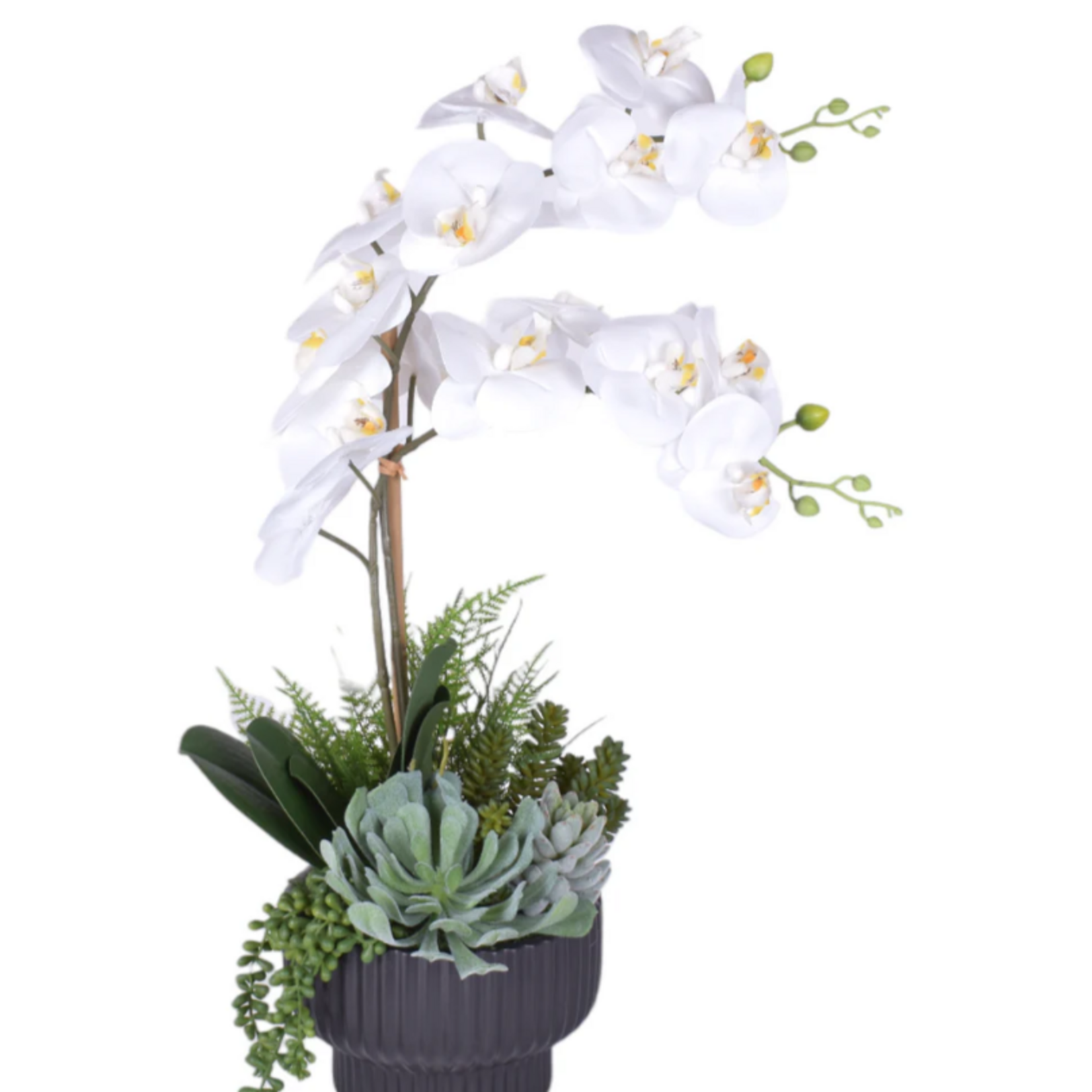 Black Wally Pot with Orchid AR1807