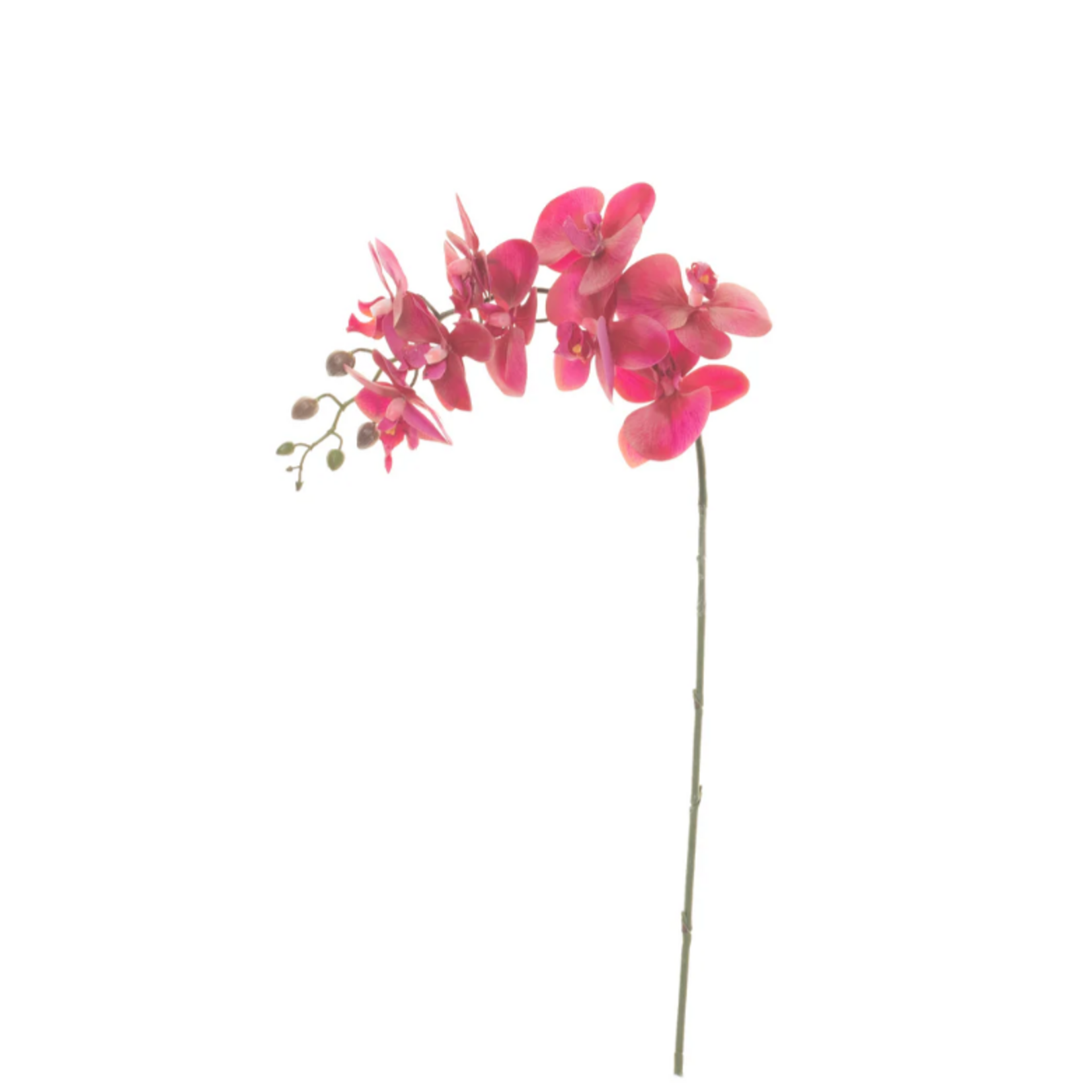 FL1019PR33 33 inch Real Touch Phalaenopsis Purple
