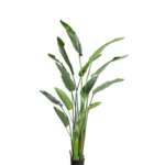 6 Foot Bird of Paradise Small Glacier Planter PC1469CN1364SM