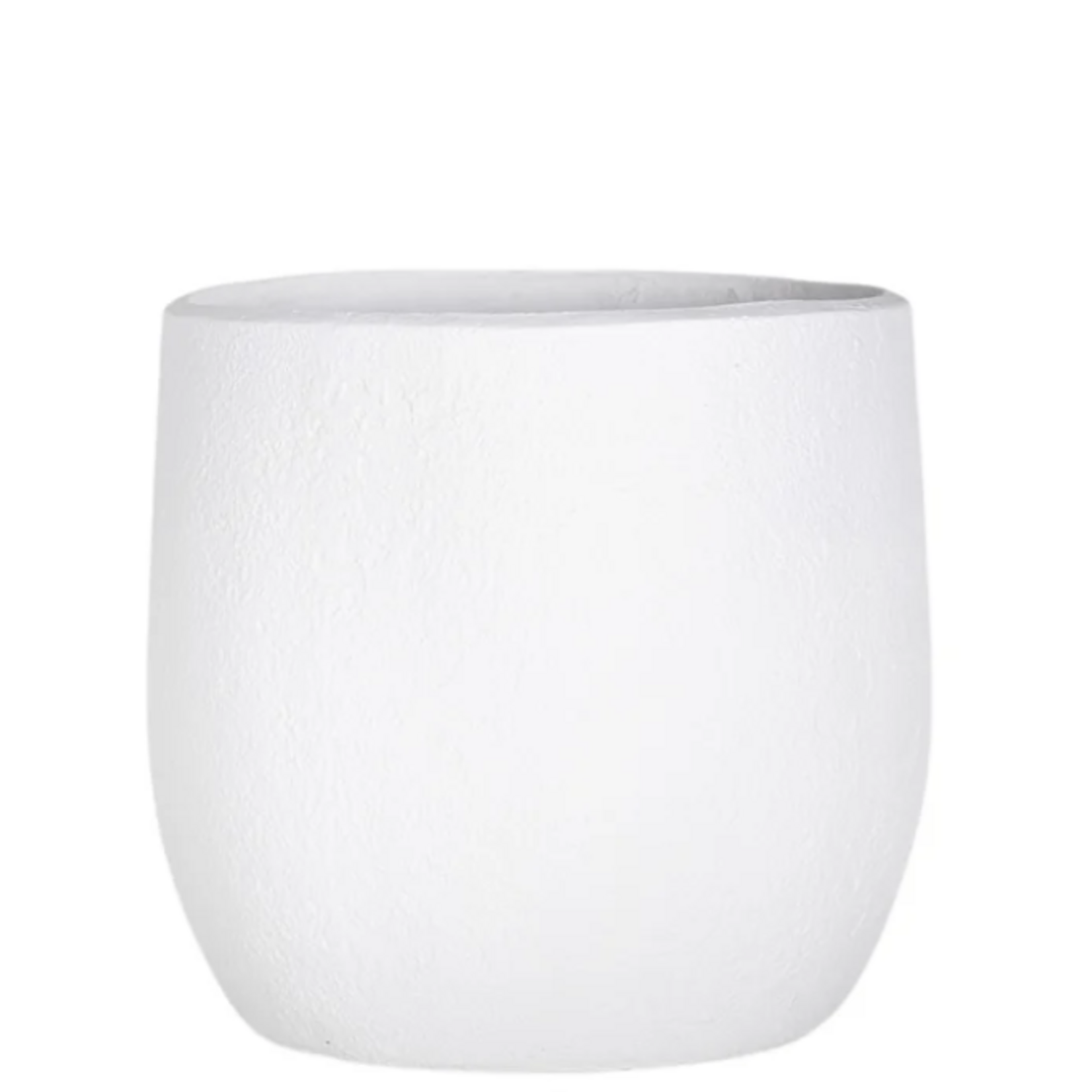 6 Foot Bird of Paradise Small Glacier Planter PC1469CN1364SM