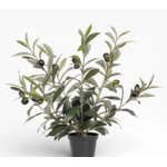 16.5 Inch Olive Potted Plant PP1062GR18
