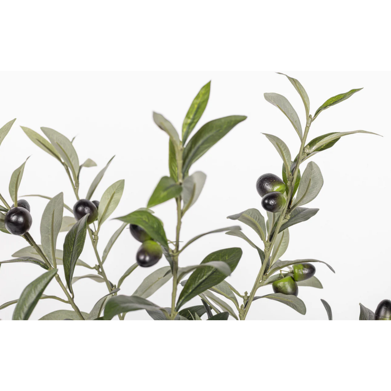 16.5 Inch Olive Potted Plant PP1062GR18