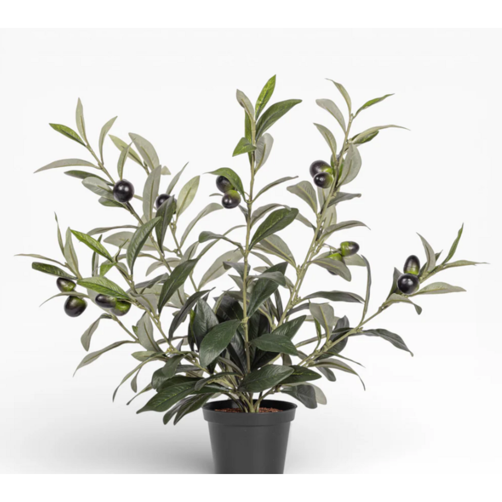 16.5 Inch Olive Potted Plant PP1062GR18