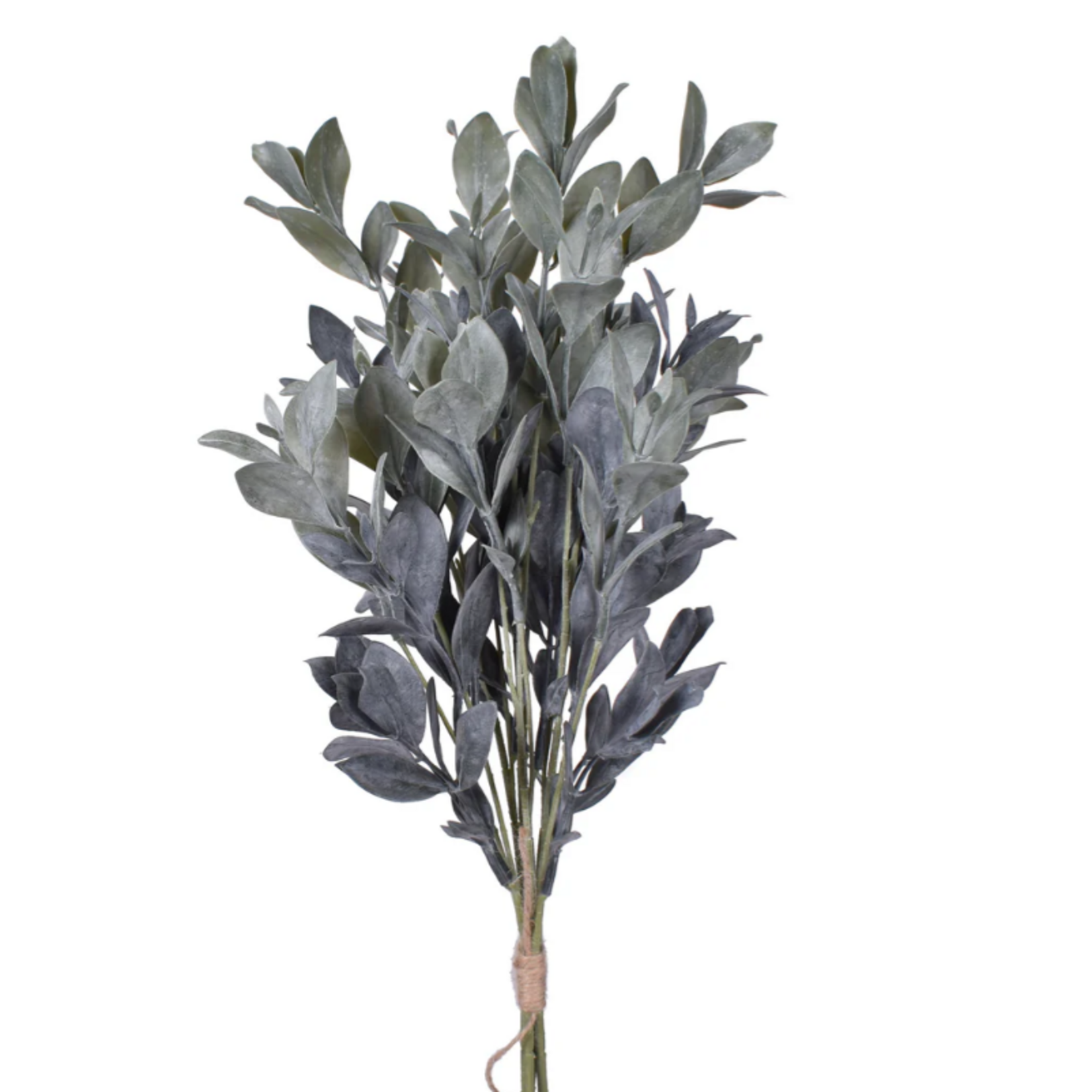 23.5 inch Eucalyptus Stem  ST1142UV23