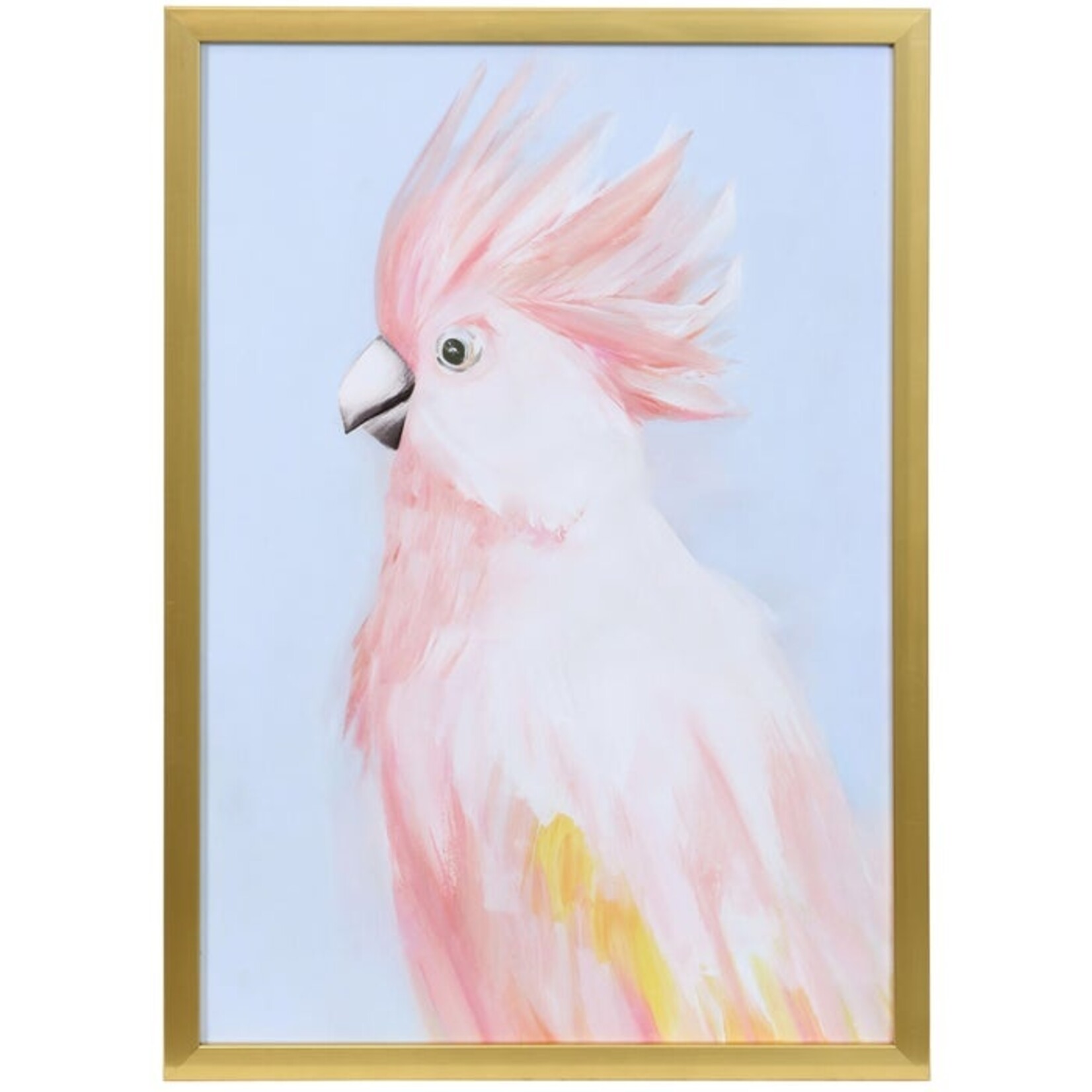 Stylecraft Pink Cockatoo in Soft Pastels
