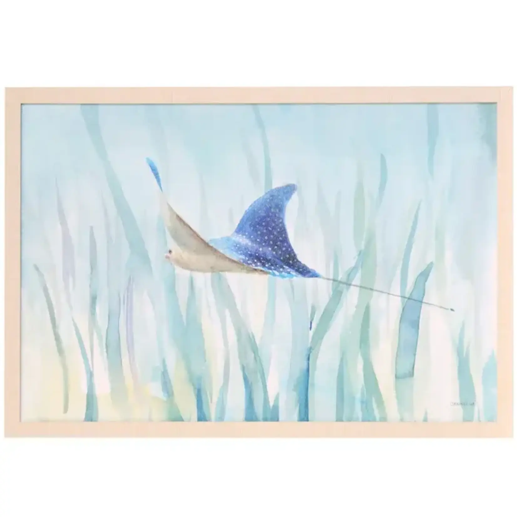 Stylecraft Undersea Ray