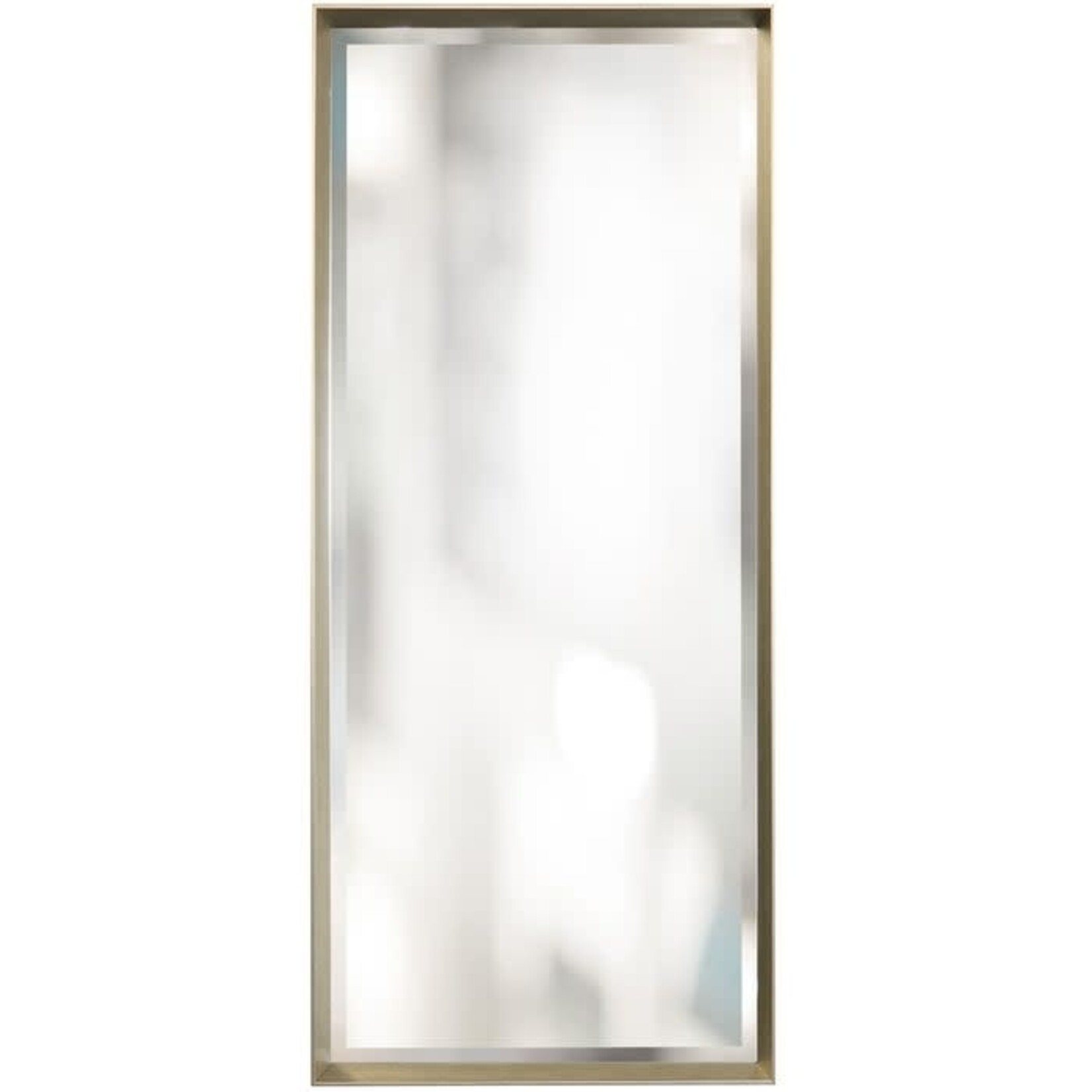 Stylecraft Tarnished Silver Deep Floor Mirror
