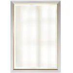 Stylecraft Silver and Gold Beveled Frame Mirror MM1256