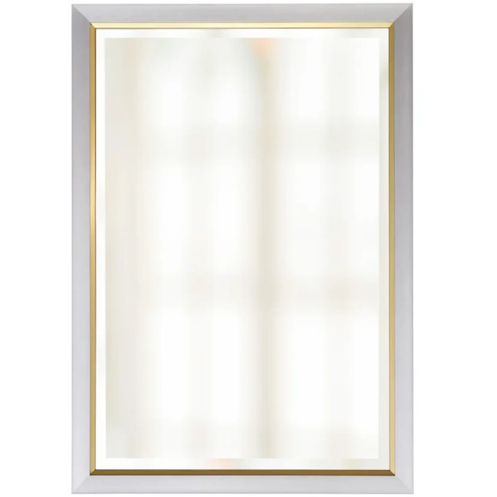 Stylecraft Silver and Gold Beveled Frame Mirror