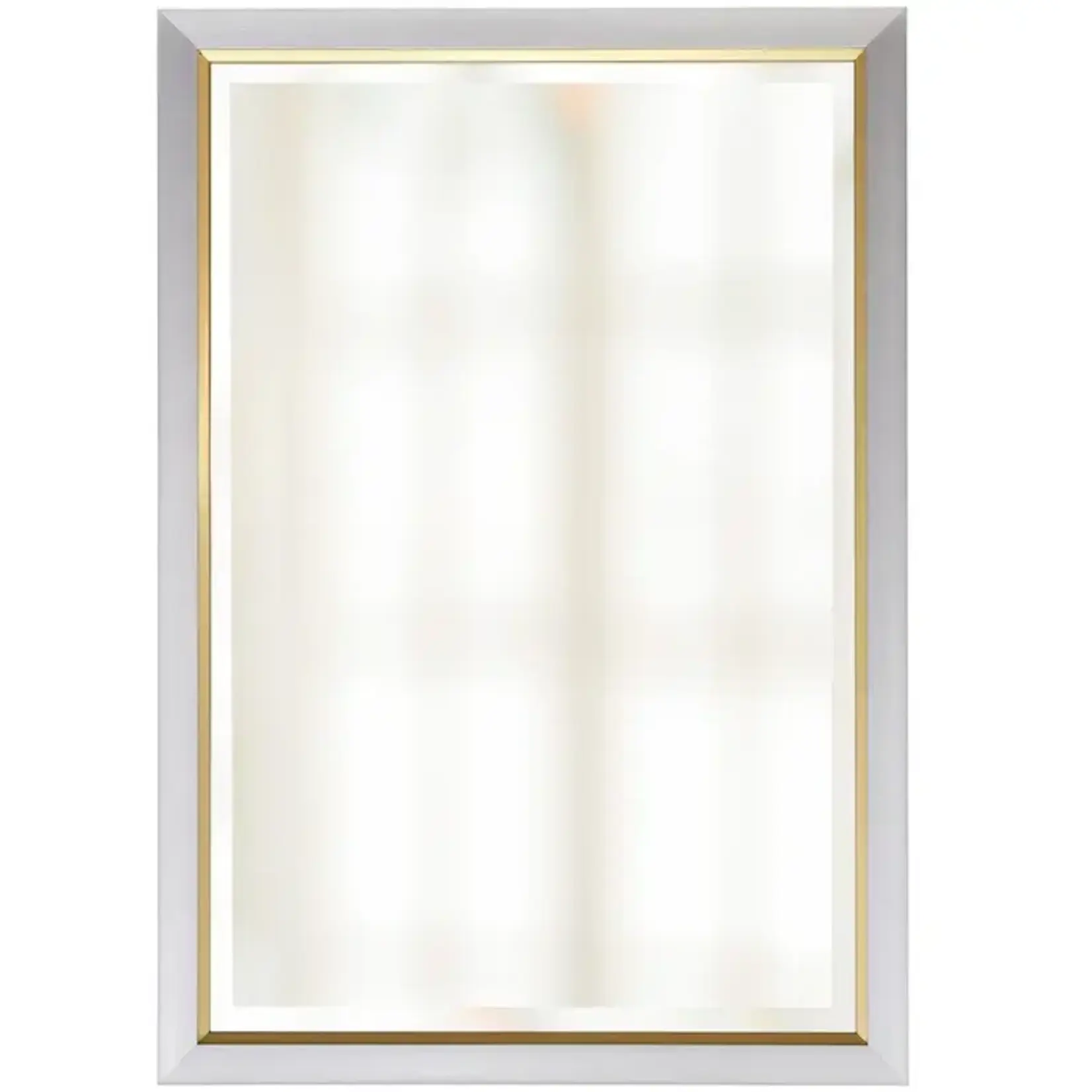 Stylecraft Silver and Gold Beveled Frame Mirror