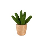 India Stuffed Cactus Aloe Vera