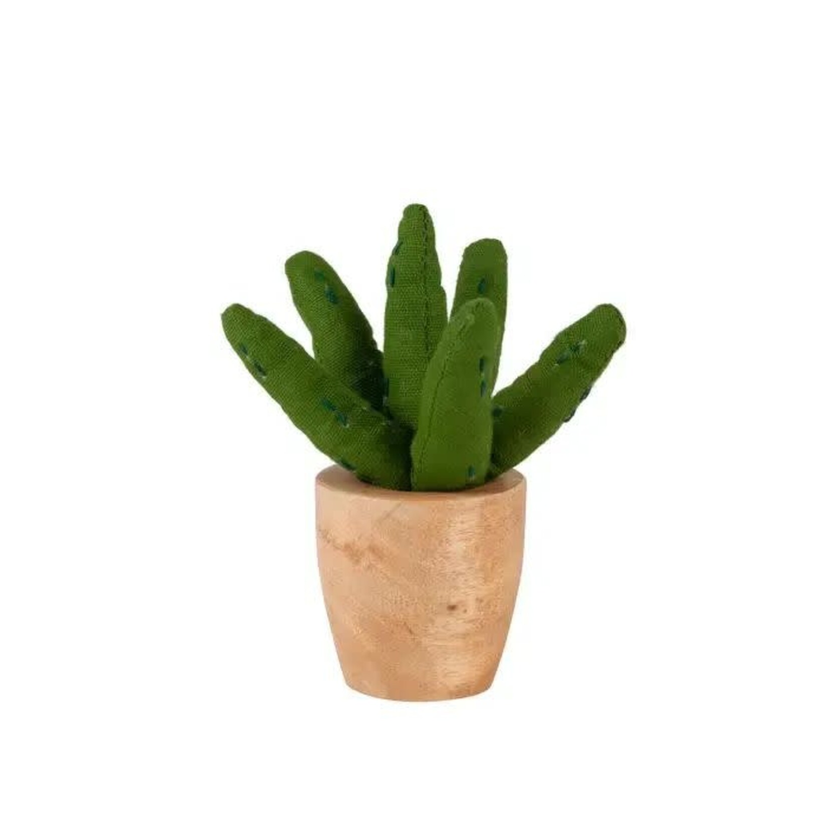India Cactus Aloe Vera M/3 Stuffed Cotton/Wd 3H Grn/Nat