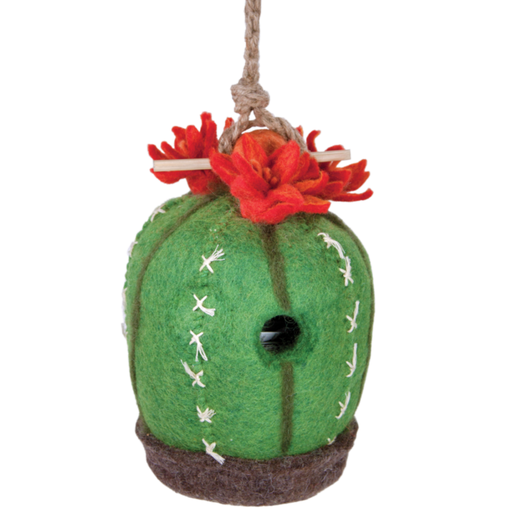 Nepal Birdhouse Barrel Cactus