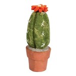 Nepal Felt Plant Mini San Pedro Cactus