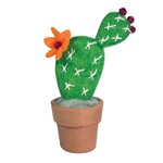 Nepal Felt Plant Prickly Pear Cactus