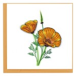 Vietnam Yellow Poppies QC