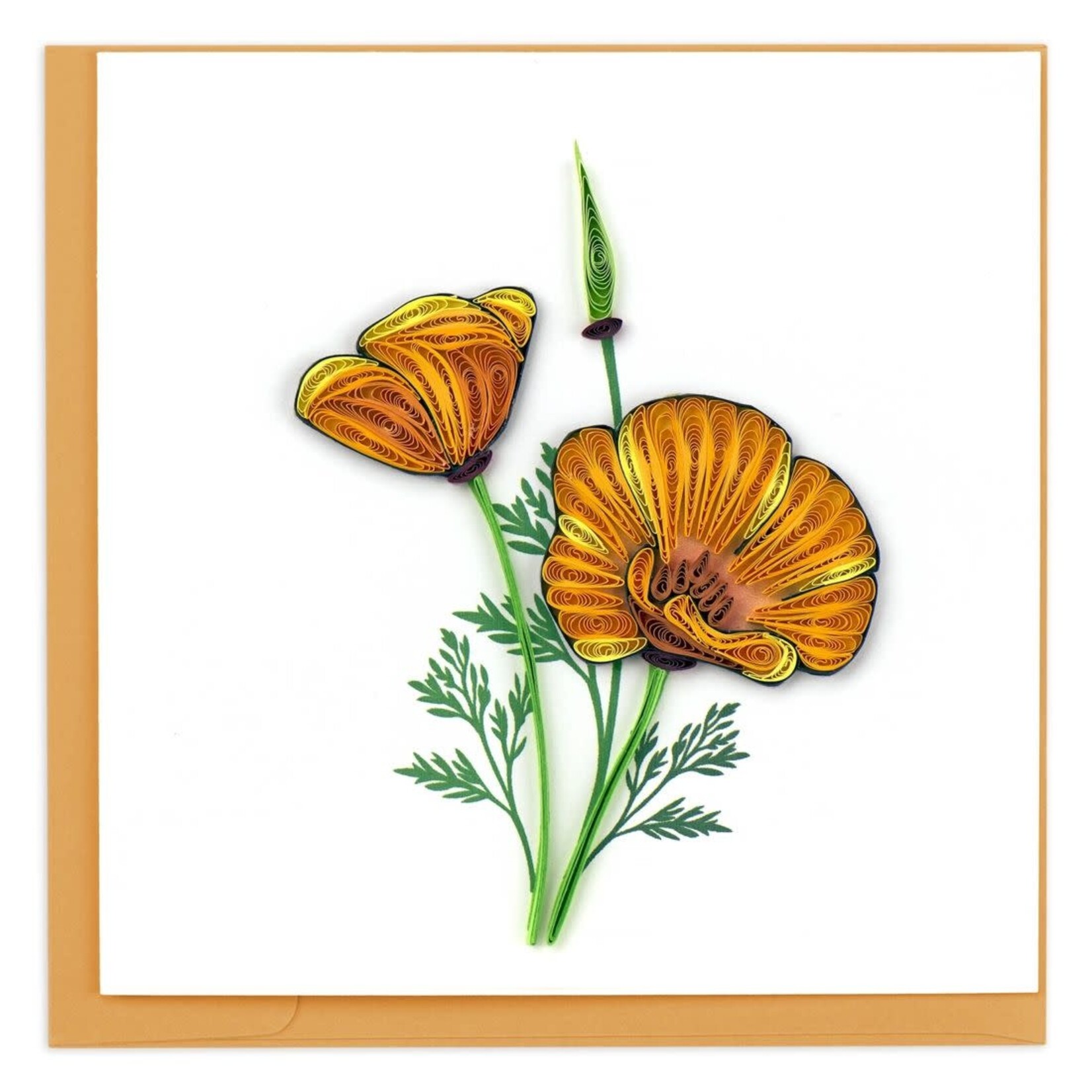 Vietnam Yellow Poppies QC