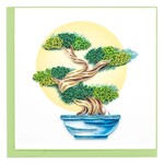Vietnam Bonsai Tree QC