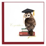 Vietnam Graduation Owl QC