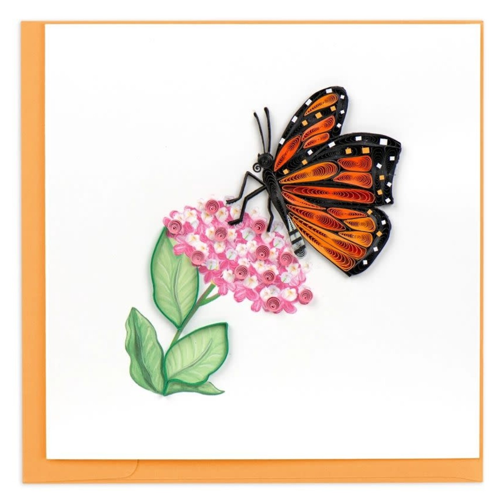 Vietnam Monarch Milkweed Butterfly QC