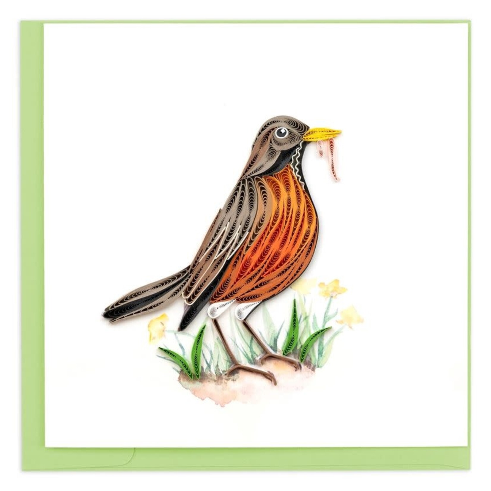 Vietnam Robin with Worm QC