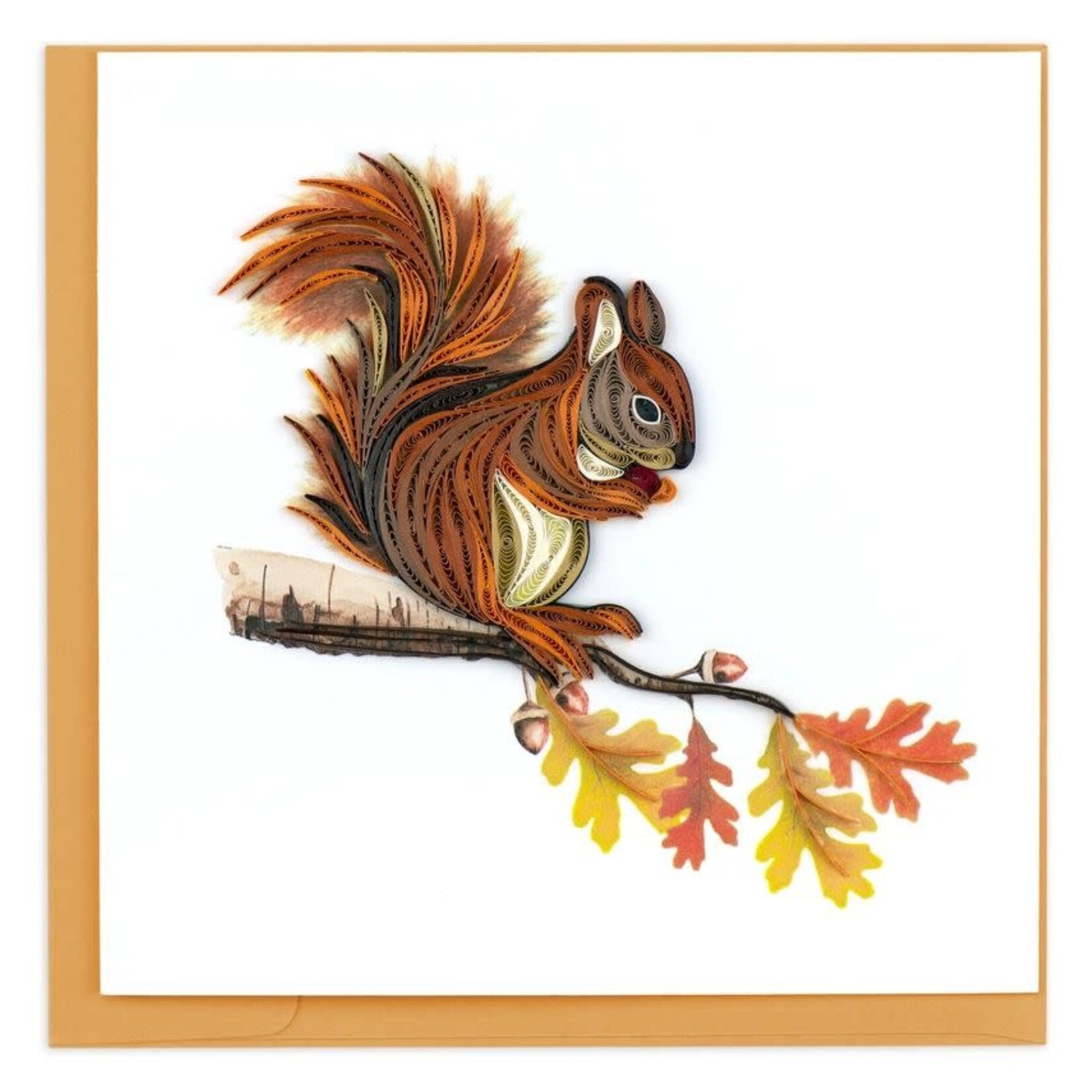 Vietnam Squirrel QC