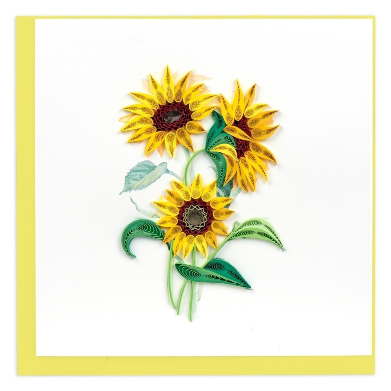 Vietnam Wild Sunflowers QC
