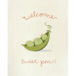 Rwanda Welcome Sweet Pea