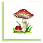 Vietnam Wild Mushroom QC