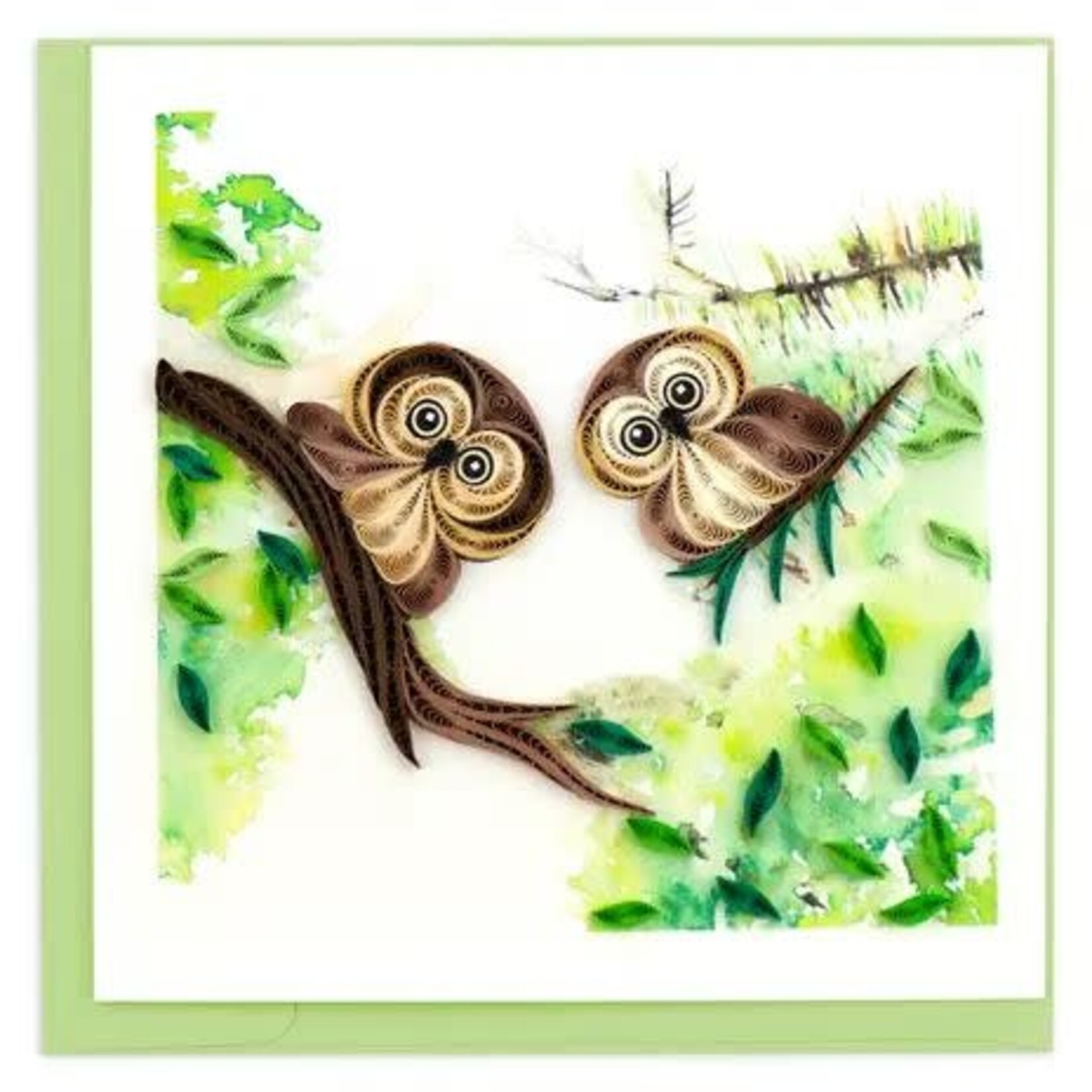 Vietnam Owlets QC