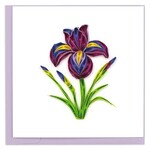 Vietnam Iris QC