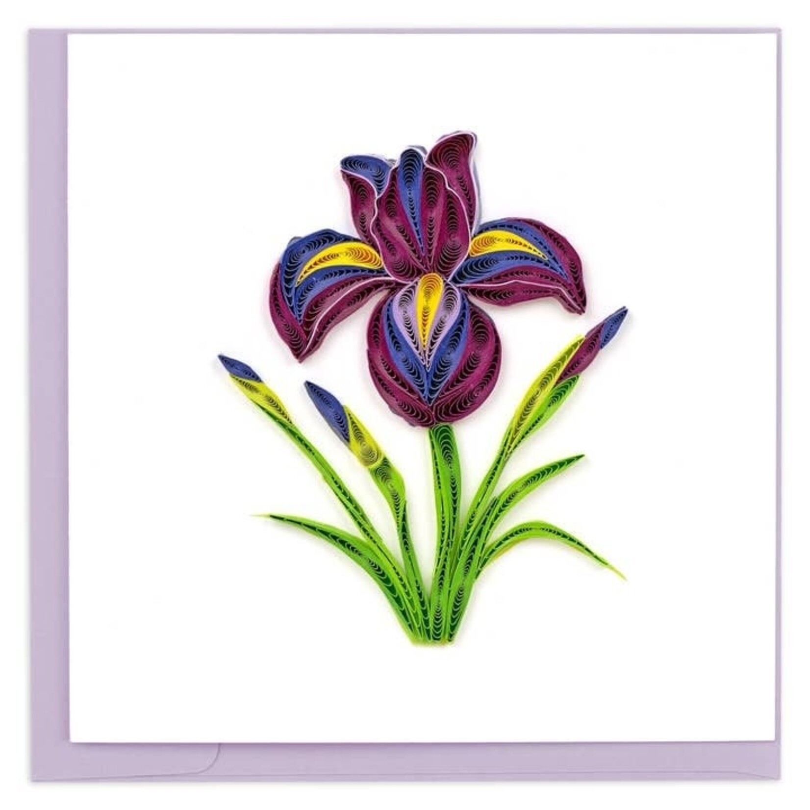 Vietnam Iris QC