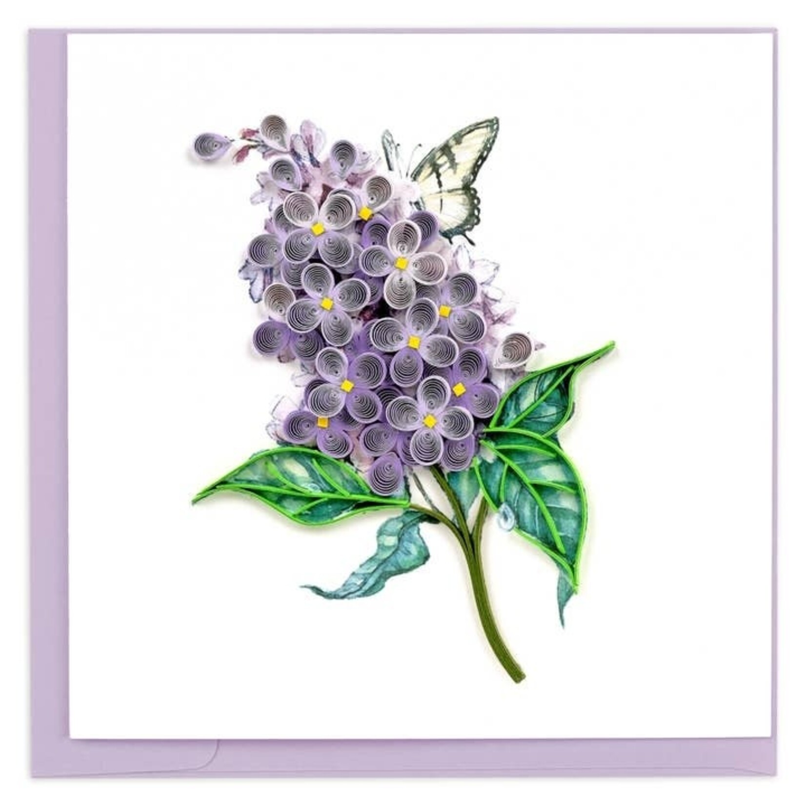 Vietnam Lilac Flowers QC